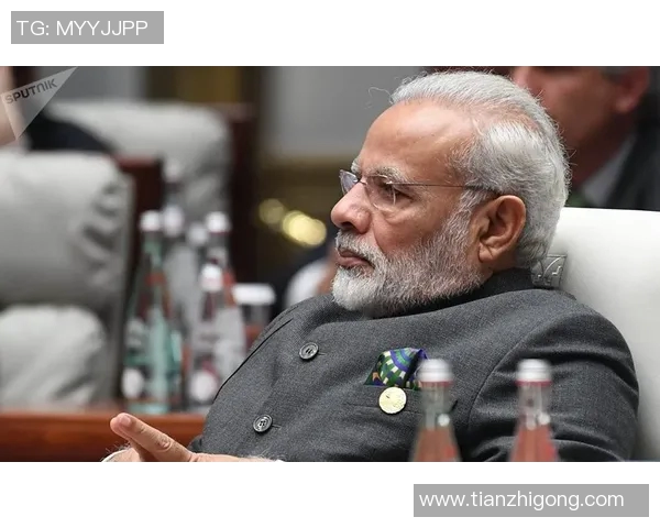 莫迪与布兰的较量：印度与西方的战略博弈与未来展望