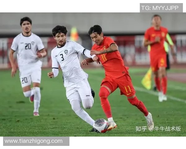 2010年世界杯巴拉圭对阵日本的精彩比分与赛况回顾