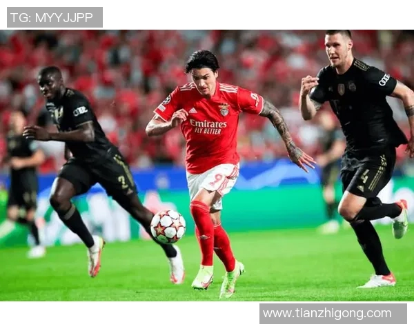 本菲卡与里昂近期交锋比分分析及战绩回顾