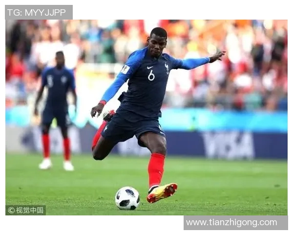 法国与秘鲁比赛必发数据分析及投注策略探讨