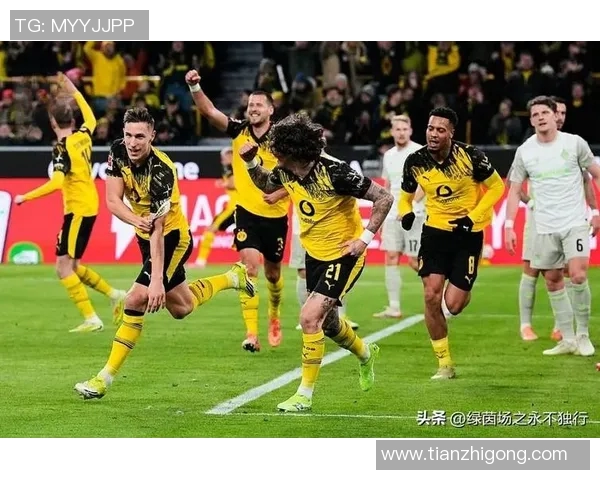 多特蒙德球迷骚乱引发欧冠禁赛三场并罚款50万欧元