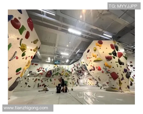 广州攀岩队创历史新高攀岩状态排名引发广泛关注与赞誉MBA 广州攀岩队创历史新高攀岩状态排名引发广泛关注与赞誉MBA