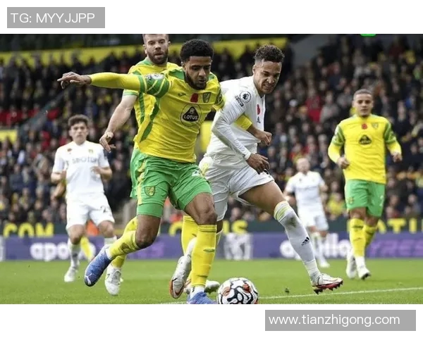 城市赛积分榜更新WE战队以84分稳居第一名MBA