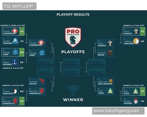 排球美国对阵日本精彩直播全程回顾与赛后分析