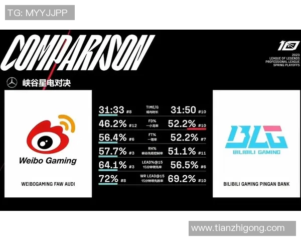 数据分析视角下BLG团队意识表现的深度剖析与探讨