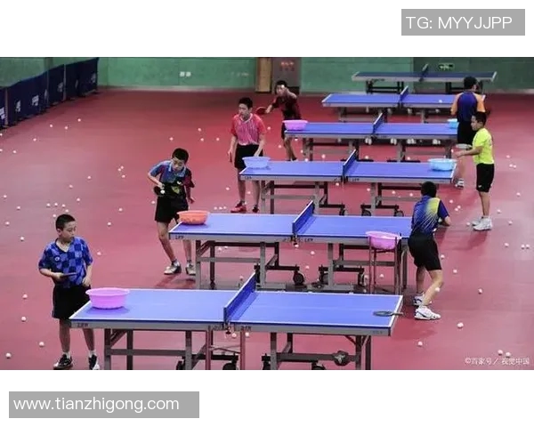 刘秀英独家分享乒乓球技巧与心得体会助你提升球技的秘诀与经验
