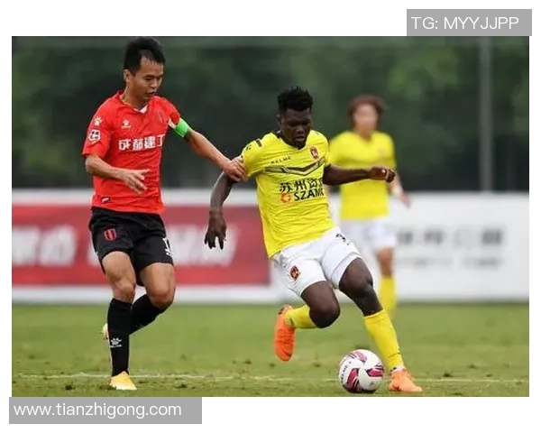 成都网球队战术引发热议球迷与专家各执己见探讨争议背后的深层原因